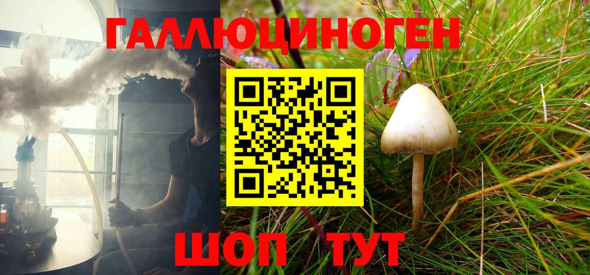 Псилоцибиновые грибы мицелий Видное